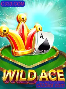 Desvendando o Jogo WildAce: Descrição, Introdução e Regras